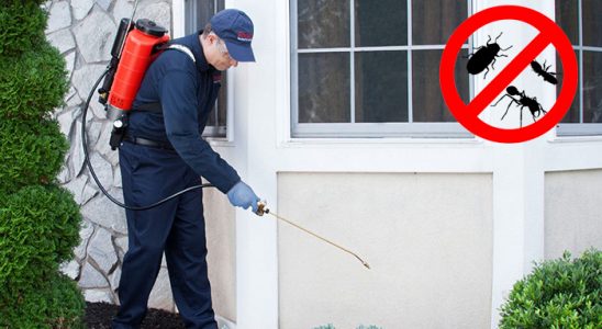 Kadınhanı Haşere İlaçlama böcek ilaçlama ve haşere kontrolü — ilaclama-tr.com